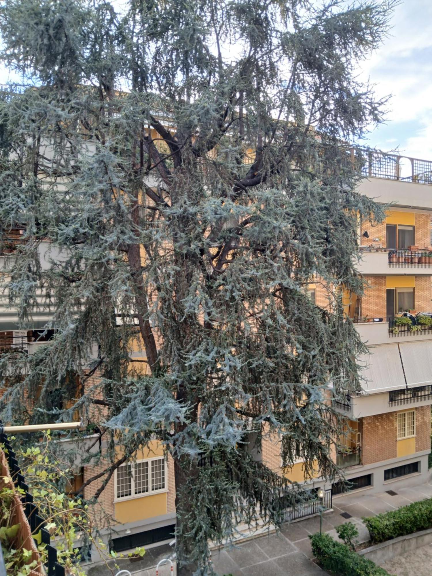 La casa di Antonella e Giuseppe Romano Esterno foto